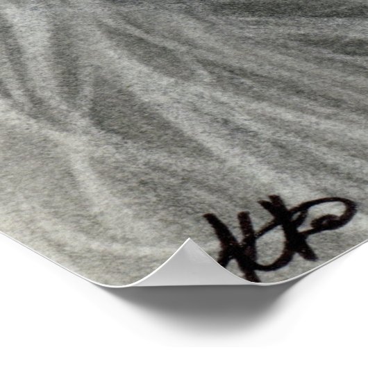 Donk Beauty Moon Shadows Poster (Hoek)