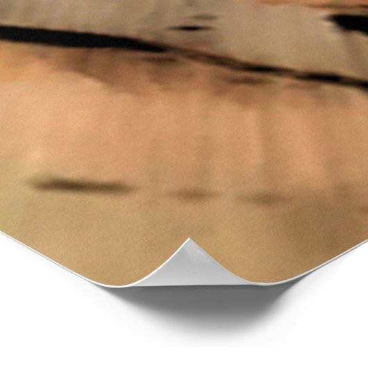 Donk Cowboy Poster (Hoek)