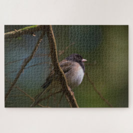 Donk Eyed Junco Legpuzzel