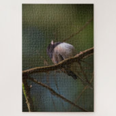Donk Eyed Junco Legpuzzel (Verticaal)