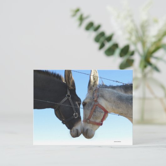 Donk in ongeveer briefkaart (Staand voorkant)