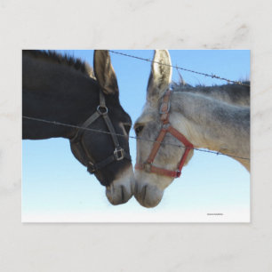 Donk in ongeveer briefkaart