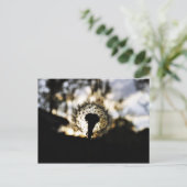 Donk N Dandy Briefkaart (Staand voorkant)