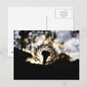 Donk N Dandy Briefkaart (Voorkant / Achterkant)