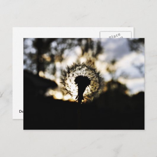 Donk N Dandy Briefkaart (Voorkant / Achterkant)