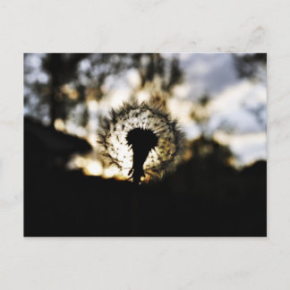 Donk N Dandy Briefkaart