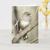Donker-eyed Wenskaart Junco Kaart (Gele Bloem)