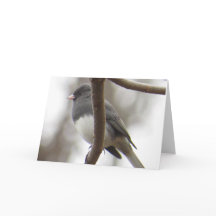 Donker-eyed Wenskaart Junco