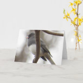 Donker-eyed Wenskaart Junco Kaart (Gele Bloem)