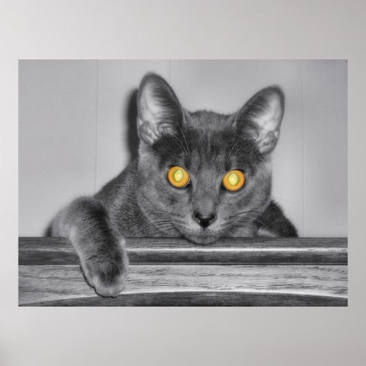 Donker Goud Print (Voorkant)