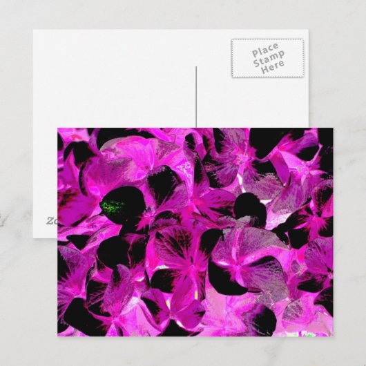 donker licht 2 briefkaart (Voorkant / Achterkant)