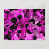 donker licht 2 briefkaart (Voorkant)