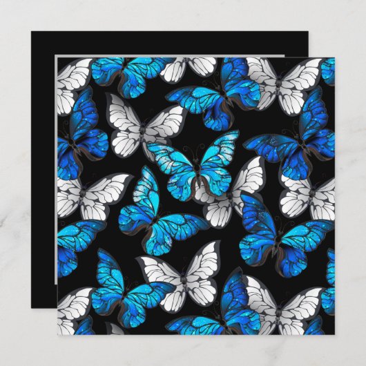 Donker naadloos patroon met blauwe vlinders Morpho Aankondiging (Voorkant / Achterkant)