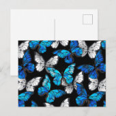 Donker naadloos patroon met blauwe vlinders Morpho Feestdagenkaart (Voorkant / Achterkant)