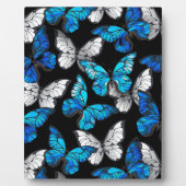 Donker naadloos patroon met blauwe vlinders Morpho Fotoplaat (Voorkant)