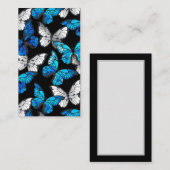 Donker naadloos patroon met blauwe vlinders Morpho Informatiekaartje (Voorkant / Achterkant)