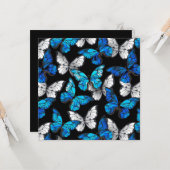 Donker naadloos patroon met blauwe vlinders Morpho Kaart (Voorkant / Achterkant in situ)