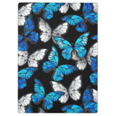Donker naadloos patroon met blauwe vlinders Morpho Klembord (Achterkant)
