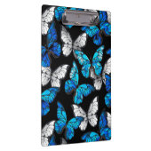 Donker naadloos patroon met blauwe vlinders Morpho Klembord (Rechts)