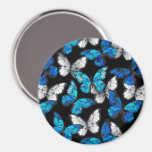 Donker naadloos patroon met blauwe vlinders Morpho Magneet (Voorkant / Achterkant)