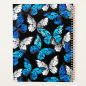 Donker naadloos patroon met blauwe vlinders Morpho Planner (Achterkant)