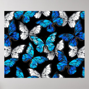 Donker naadloos patroon met blauwe vlinders Morpho Poster
