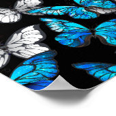 Donker naadloos patroon met blauwe vlinders Morpho Poster (Hoek)