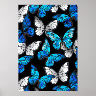 Donker naadloos patroon met blauwe vlinders Morpho Poster