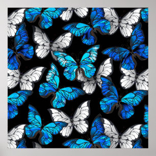 Donker naadloos patroon met blauwe vlinders Morpho Poster