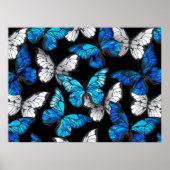 Donker naadloos patroon met blauwe vlinders Morpho Poster (Voorkant)