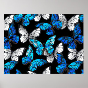 Donker naadloos patroon met blauwe vlinders Morpho Poster