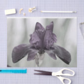Donker Paarse Iris Bloem voor decopodge Tissuepapier (Craft)
