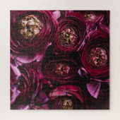 Donker Paarse ranunculus, bloeiende close-up. Legpuzzel (Horizontaal)