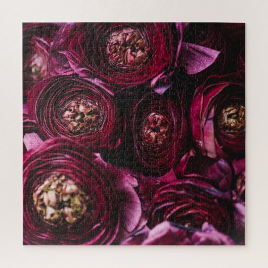 Donker Paarse ranunculus, bloeiende close-up. Legpuzzel (Verticaal)