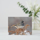 Donkerachtig Junco-Briefkaart Briefkaart (Staand voorkant)