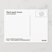 Donkerachtig Junco-Briefkaart Briefkaart (Achterkant)