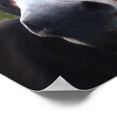 Donkerafdrukken glimlachen poster (Hoek)