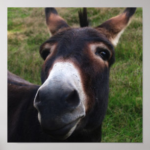 Donkerafdrukken glimlachen poster