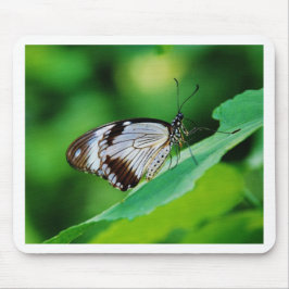 Donkerbruin en grijze vlinder muismat