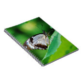 Donkerbruin en grijze vlinder notitieboek (Rechterzijde)