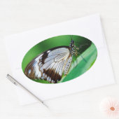 Donkerbruin en grijze vlinder ovale sticker (Envelop)