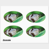 Donkerbruin en grijze vlinder ovale sticker (Vel)