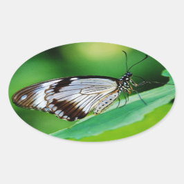 Donkerbruin en grijze vlinder ovale sticker