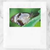 Donkerbruin en grijze vlinder rechthoekige sticker (Tas)