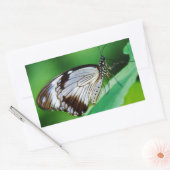 Donkerbruin en grijze vlinder rechthoekige sticker (Envelop)