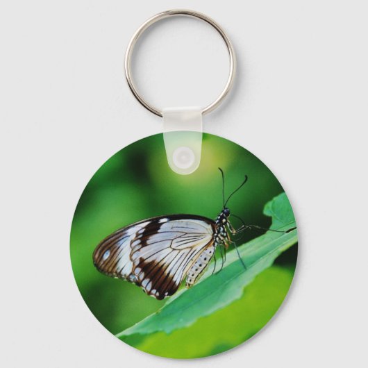 Donkerbruin en grijze vlinder sleutelhanger (Voorkant)