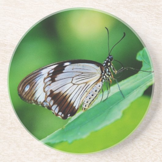 Donkerbruin en grijze vlinder zandsteen onderzetter (Voorkant)