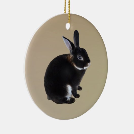 Donkerbruin en wit Mini Rex Konijn Keramisch Ornament (Rechts)