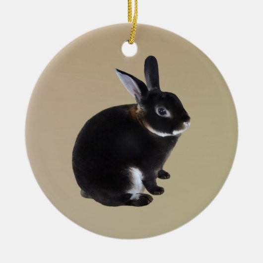 Donkerbruin en wit Mini Rex Konijn Keramisch Ornament (Voorkant)