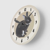 Donkerbruin en wit Mini Rex Konijn Ronde Klok (Hoek)